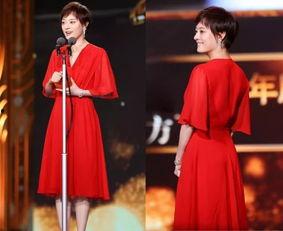 娱乐圈资深吃瓜人小说,揭秘明星背后的秘密与真相